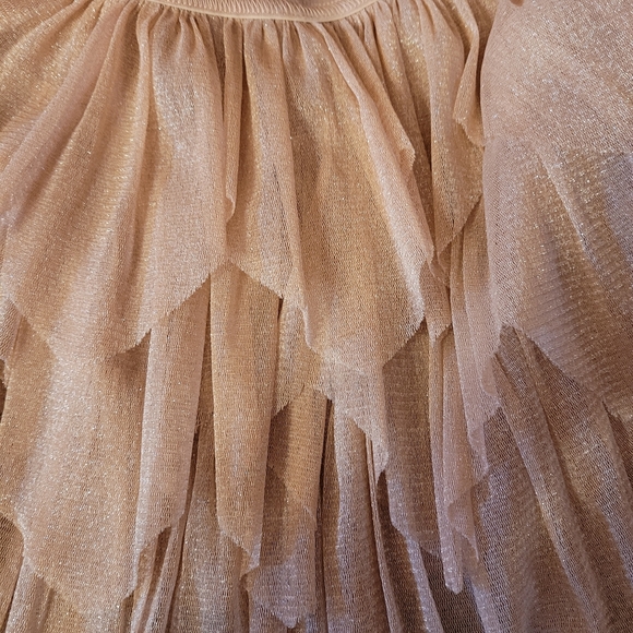 Afton Street Skirt 2T Blush Pink Sparkle Tulle Lined 4 Layers Elastic Waist - Picture 3 of 6